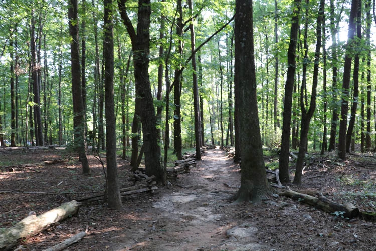 Environmental & 24 Gun Trail Hike 1